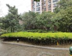 合肥市政务新区及瑶海区房产拍卖公告：国际花都玫瑰苑、大通路门面、四河苑房源详情及起拍价