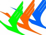 合肥招聘20人！