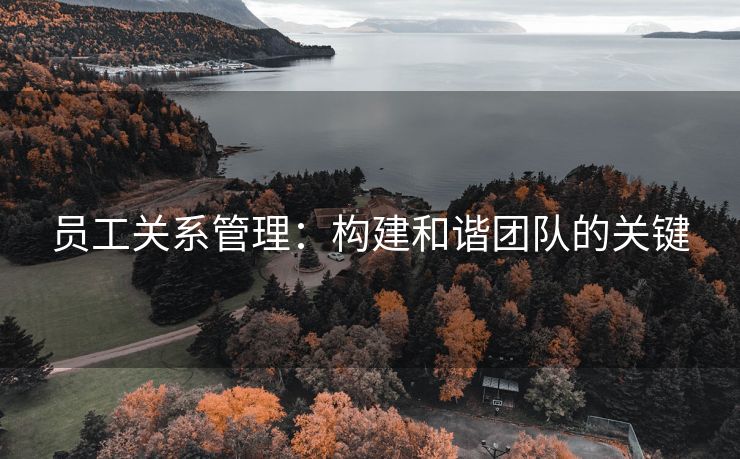 员工关系管理:构建和谐团队的关键 员工关系管理:构建和谐团队的关键