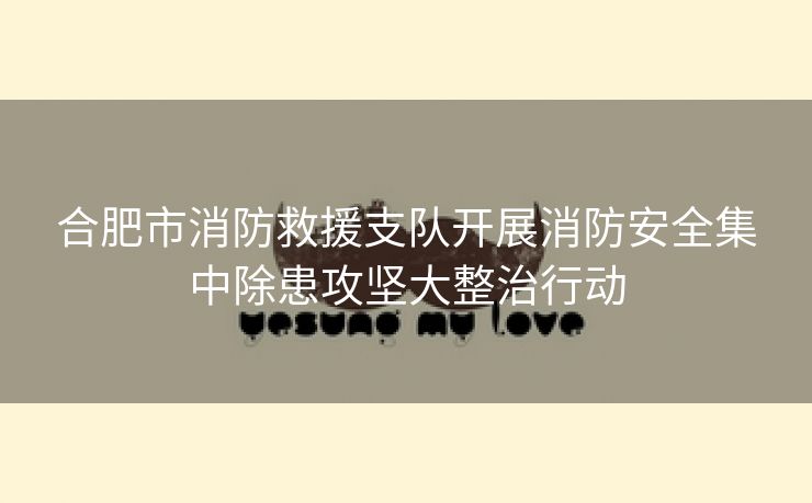 合肥市消防救援支队开展消防安全集中除患攻坚大整治行动 合肥市消防救援支队开展消防安全集中除患攻坚大整治行动