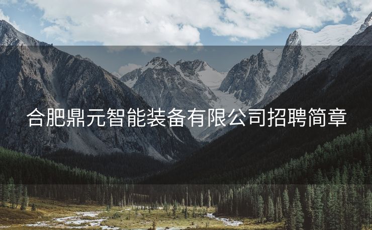 合肥鼎元智能装备有限公司招聘简章 合肥鼎元智能装备有限公司招聘简章