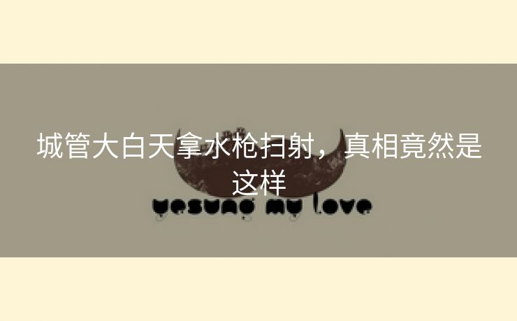 城管大白天拿水枪扫射,真相竟然是这样 城管大白天拿水枪扫射,真相竟然是这样