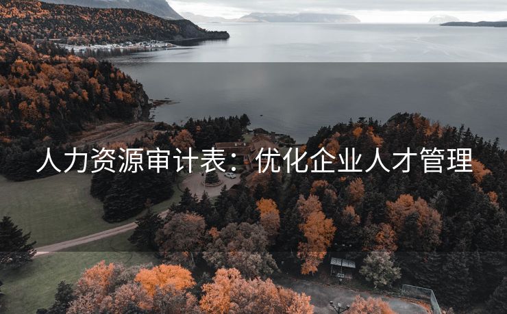 人力资源审计表:优化企业人才管理 人力资源审计表:优化企业人才管理