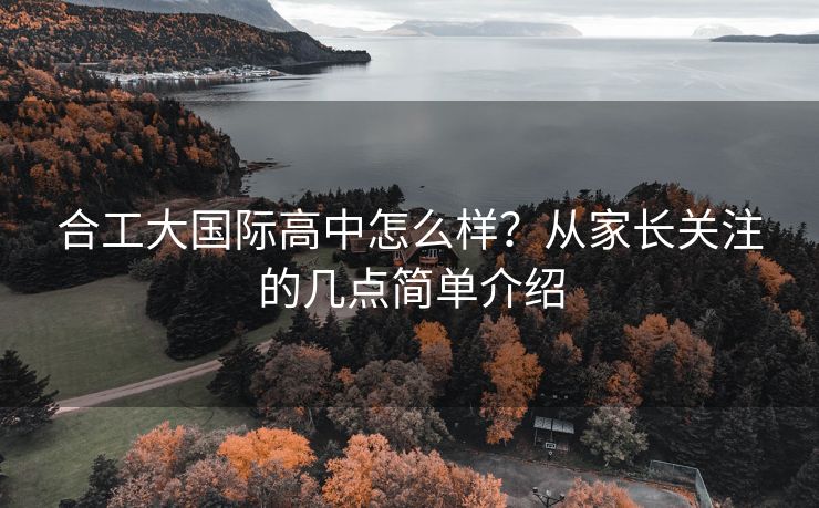 合工大国际高中怎么样?从家长关注的几点简单介绍 合工大国际高中怎么样?从家长关注的几点简单介绍