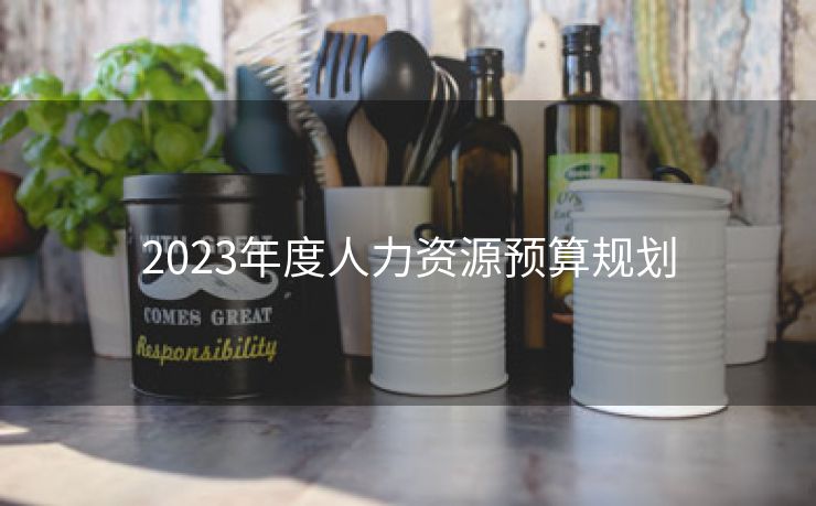 2023年度人力资源预算规划 2023年度人力资源预算规划