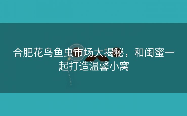 合肥花鸟鱼虫市场大揭秘,和闺蜜一起打造温馨小窝 合肥花鸟鱼虫市场大揭秘,和闺蜜一起打造温馨小窝