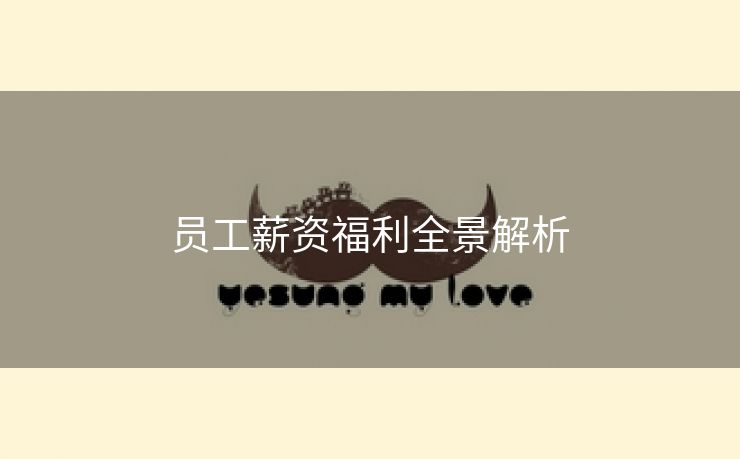 员工薪资福利全景解析 员工薪资福利全景解析