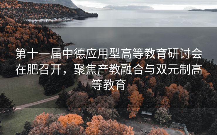 第十一届中德应用型高等教育研讨会在肥召开,聚焦产教融合与双元制高等教育 第十一届中德应用型高等教育研讨会在肥召开,聚焦产教融合与双元制高等教育