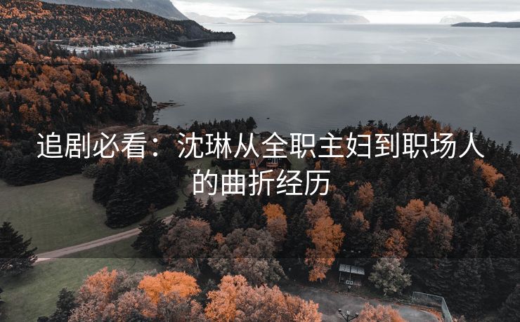 追剧必看:沈琳从全职主妇到职场人的曲折经历 追剧必看:沈琳从全职主妇到职场人的曲折经历