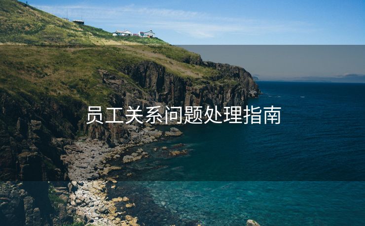 员工关系问题处理指南 员工关系问题处理指南