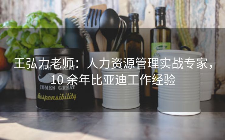 王弘力老师:人力资源管理实战专家,10 余年比亚迪工作经验 王弘力老师:人力资源管理实战专家,10 余年比亚迪工作经验
