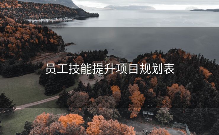员工技能提升项目规划表 员工技能提升项目规划表