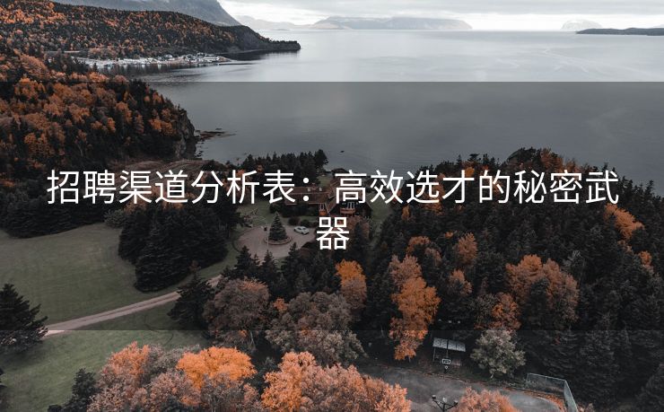 招聘渠道分析表:高效选才的秘密武器 招聘渠道分析表:高效选才的秘密武器