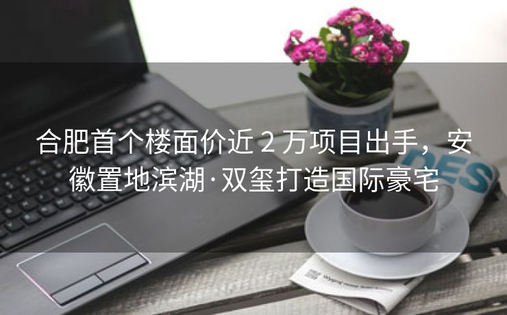 合肥首个楼面价近 2 万项目出手,安徽置地滨湖·双玺打造国际豪宅 合肥首个楼面价近 2 万项目出手,安徽置地滨湖·双玺打造国际豪宅