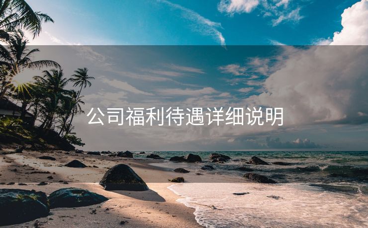 公司福利待遇详细说明 公司福利待遇详细说明