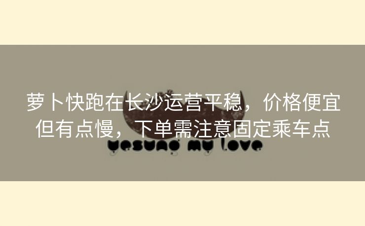 萝卜快跑在长沙运营平稳,价格便宜但有点慢,下单需注意固定乘车点 萝卜快跑在长沙运营平稳,价格便宜但有点慢,下单需注意固定乘车点