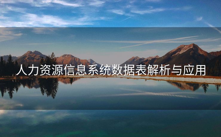 人力资源信息系统数据表解析与应用 人力资源信息系统数据表解析与应用