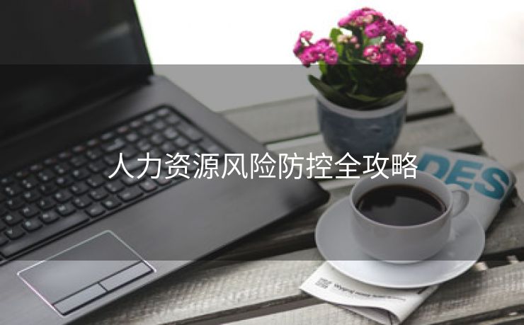 人力资源风险防控全攻略 人力资源风险防控全攻略
