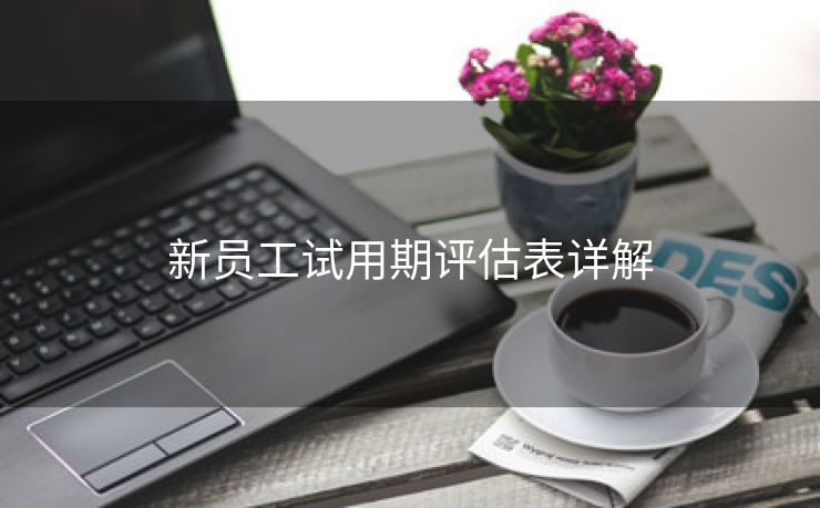 新员工试用期评估表详解 新员工试用期评估表详解
