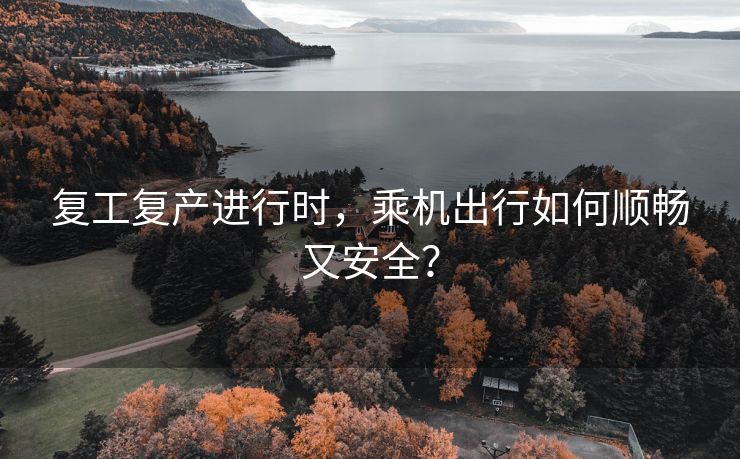 复工复产进行时,乘机出行如何顺畅又安全? 复工复产进行时,乘机出行如何顺畅又安全?