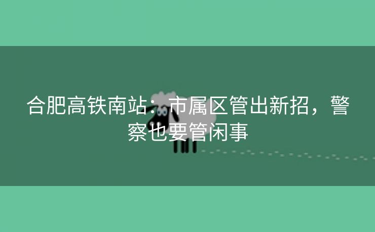 合肥高铁南站:市属区管出新招,警察也要管闲事 合肥高铁南站:市属区管出新招,警察也要管闲事