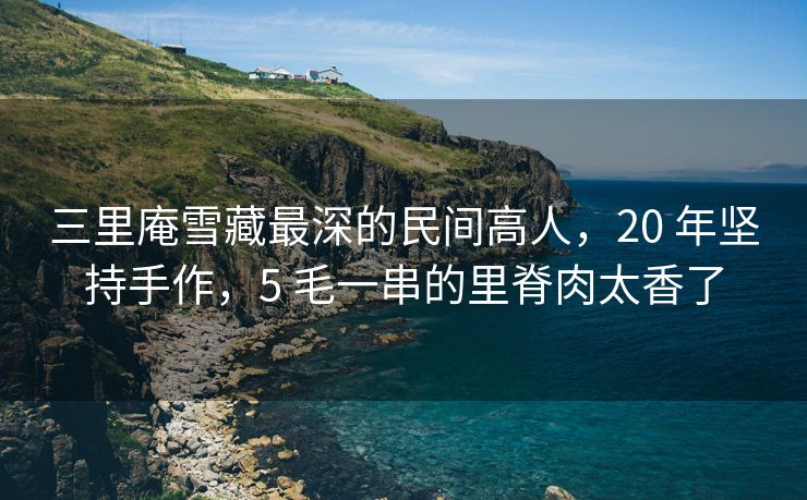 三里庵雪藏最深的民间高人,20 年坚持手作,5 毛一串的里脊肉太香了 三里庵雪藏最深的民间高人,20 年坚持手作,5 毛一串的里脊肉太香了