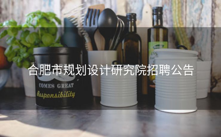 合肥市规划设计研究院招聘公告 合肥市规划设计研究院招聘公告