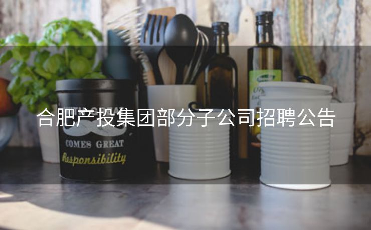 合肥产投集团部分子公司招聘公告 合肥产投集团部分子公司招聘公告