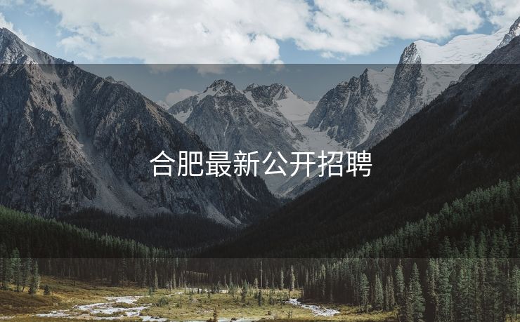 合肥最新公开招聘 合肥最新公开招聘