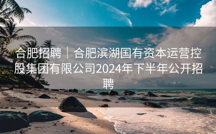 合肥招聘|合肥滨湖国有资本运营控股集团有限公司2024年下半年公开招聘 合肥招聘|合肥滨湖国有资本运营控股集团有限公司2024年下半年公开招聘