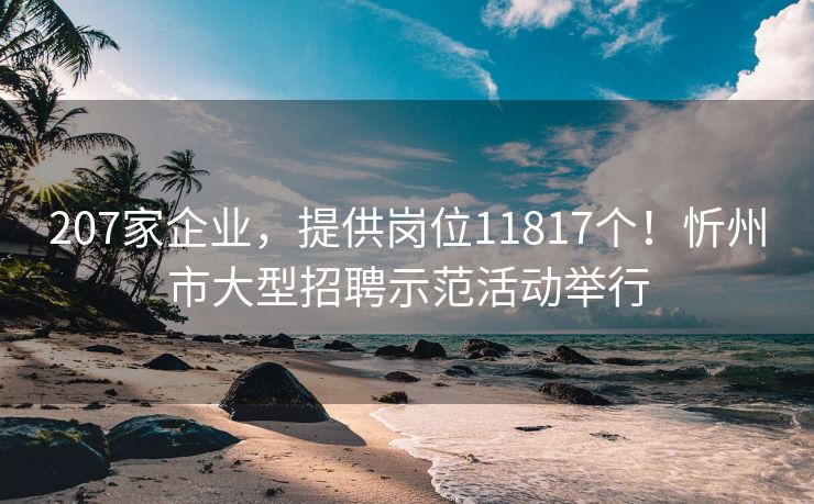 207家企业,提供岗位11817个!忻州市大型招聘示范活动举行 207家企业,提供岗位11817个!忻州市大型招聘示范活动举行