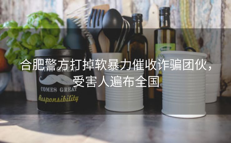 合肥警方打掉软暴力催收诈骗团伙,受害人遍布全国 合肥警方打掉软暴力催收诈骗团伙,受害人遍布全国