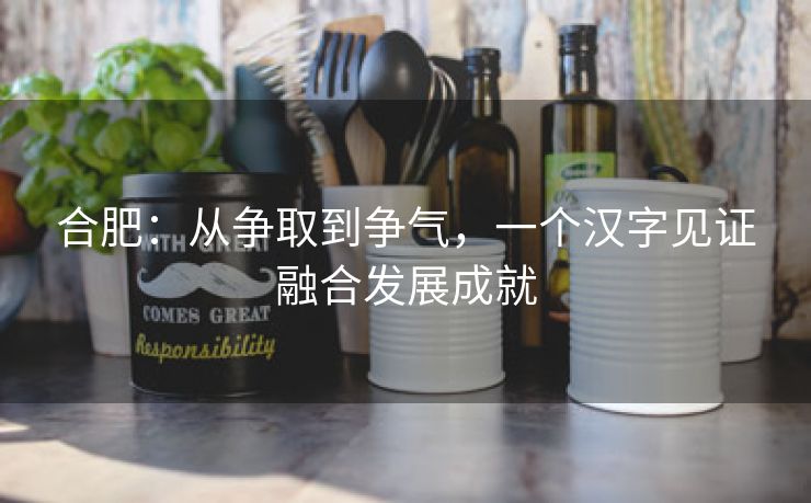 合肥:从争取到争气,一个汉字见证融合发展成就 合肥:从争取到争气,一个汉字见证融合发展成就