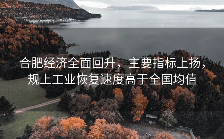 合肥经济全面回升,主要指标上扬,规上工业恢复速度高于全国均值 合肥经济全面回升,主要指标上扬,规上工业恢复速度高于全国均值