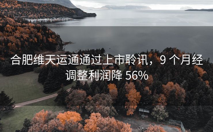 合肥维天运通通过上市聆讯,9 个月经调整利润降 56% 合肥维天运通通过上市聆讯,9 个月经调整利润降 56%