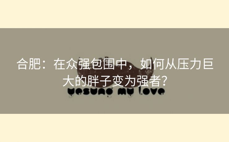 合肥:在众强包围中,如何从压力巨大的胖子变为强者? 合肥:在众强包围中,如何从压力巨大的胖子变为强者?