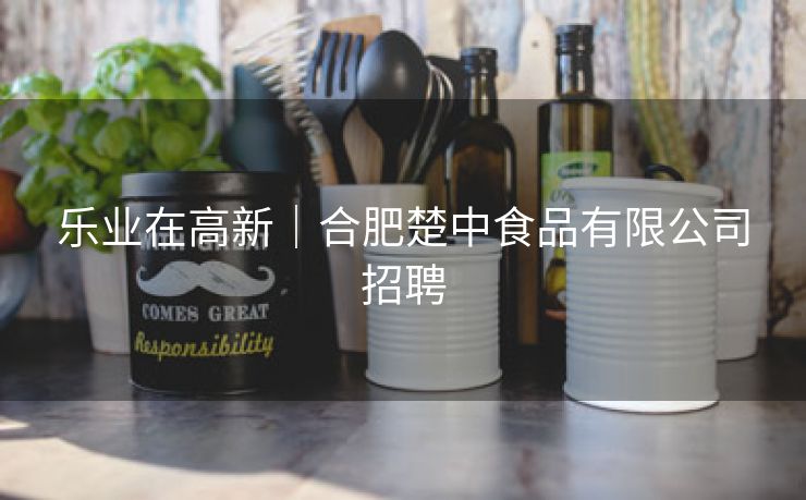 乐业在高新|合肥楚中食品有限公司招聘 乐业在高新|合肥楚中食品有限公司招聘