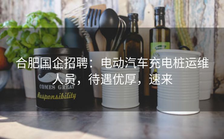 合肥国企招聘:电动汽车充电桩运维人员,待遇优厚,速来 合肥国企招聘:电动汽车充电桩运维人员,待遇优厚,速来
