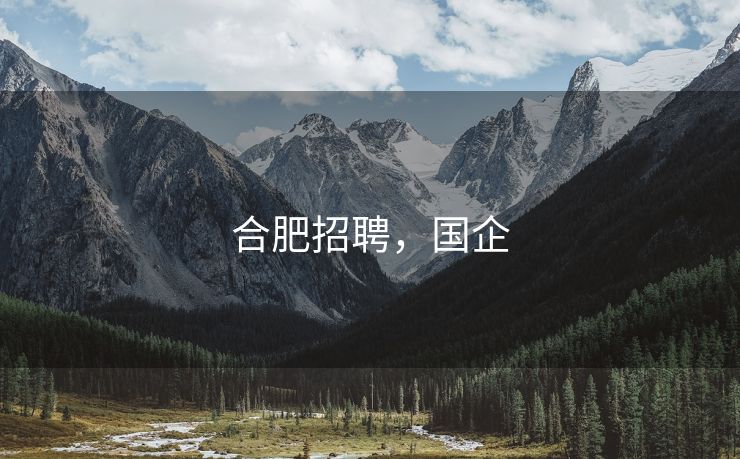 合肥招聘,国企 合肥招聘,国企
