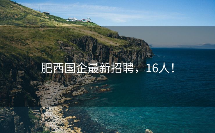 肥西国企最新招聘,16人! 肥西国企最新招聘,16人!