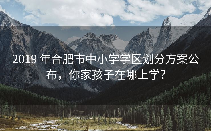 2019 年合肥市中小学学区划分方案公布,你家孩子在哪上学? 2019 年合肥市中小学学区划分方案公布,你家孩子在哪上学?