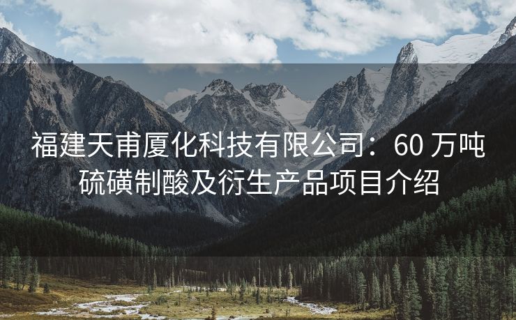 福建天甫厦化科技有限公司:60 万吨硫磺制酸及衍生产品项目介绍 福建天甫厦化科技有限公司:60 万吨硫磺制酸及衍生产品项目介绍