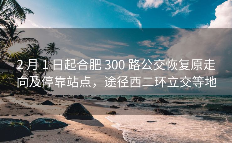 2 月 1 日起合肥 300 路公交恢复原走向及停靠站点,途径西二环立交等地 2 月 1 日起合肥 300 路公交恢复原走向及停靠站点,途径西二环立交等地