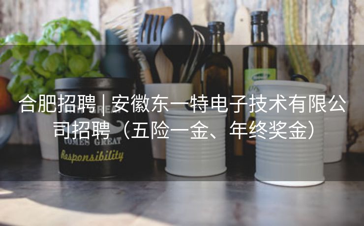 合肥招聘 | 安徽东一特电子技术有限公司招聘(五险一金、年终奖金) 合肥招聘 | 安徽东一特电子技术有限公司招聘(五险一金、年终奖金)