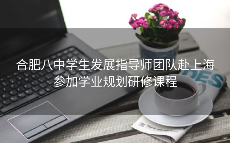 合肥八中学生发展指导师团队赴上海参加学业规划研修课程 合肥八中学生发展指导师团队赴上海参加学业规划研修课程