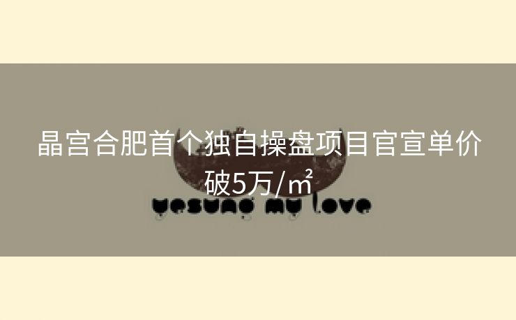 晶宫合肥首个独自操盘项目官宣单价破5万/㎡ 晶宫合肥首个独自操盘项目官宣单价破5万/㎡