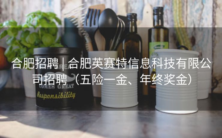 合肥招聘 | 合肥英赛特信息科技有限公司招聘(五险一金、年终奖金) 合肥招聘 | 合肥英赛特信息科技有限公司招聘(五险一金、年终奖金)