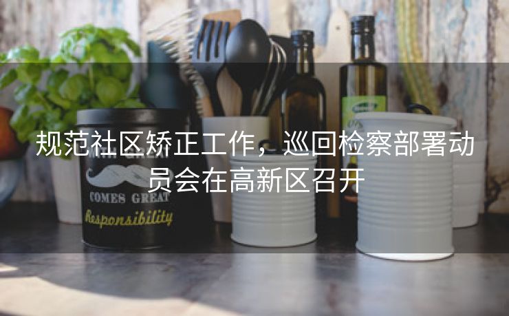 规范社区矫正工作,巡回检察部署动员会在高新区召开 规范社区矫正工作,巡回检察部署动员会在高新区召开