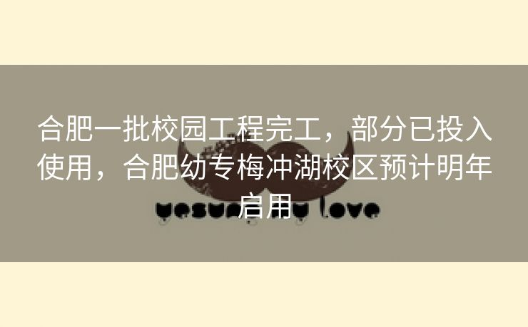 合肥一批校园工程完工,部分已投入使用,合肥幼专梅冲湖校区预计明年启用 合肥一批校园工程完工,部分已投入使用,合肥幼专梅冲湖校区预计明年启用