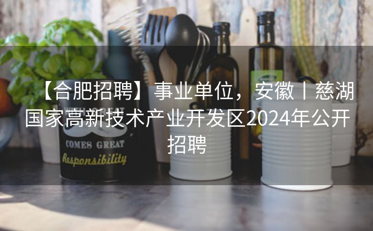 【合肥招聘】事业单位,安徽丨慈湖国家高新技术产业开发区2024年公开招聘 【合肥招聘】事业单位,安徽丨慈湖国家高新技术产业开发区2024年公开招聘